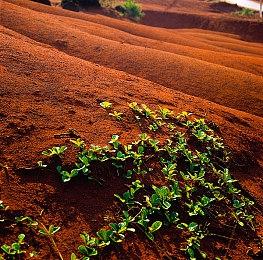 《换影循迹》现已上线：探索机械与生命交织的像素艺术杰作！
